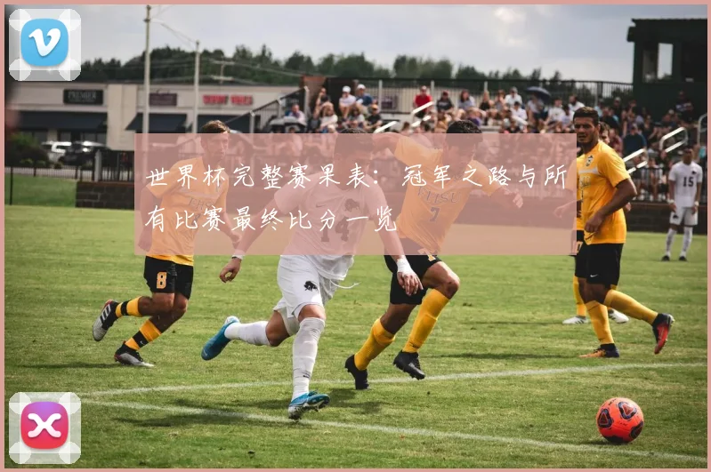 世界杯完整赛果表：冠军之路与所有比赛最终比分一览