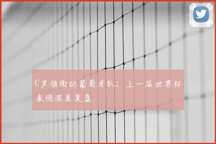 C罗领衔的葡萄牙队:上一届世界杯表现深度复盘