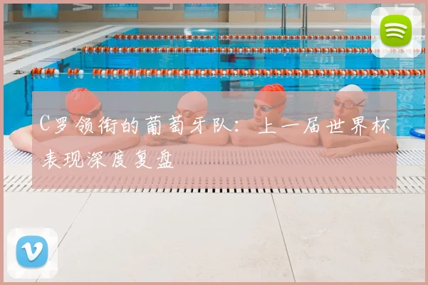 C罗领衔的葡萄牙队：上一届世界杯表现深度复盘