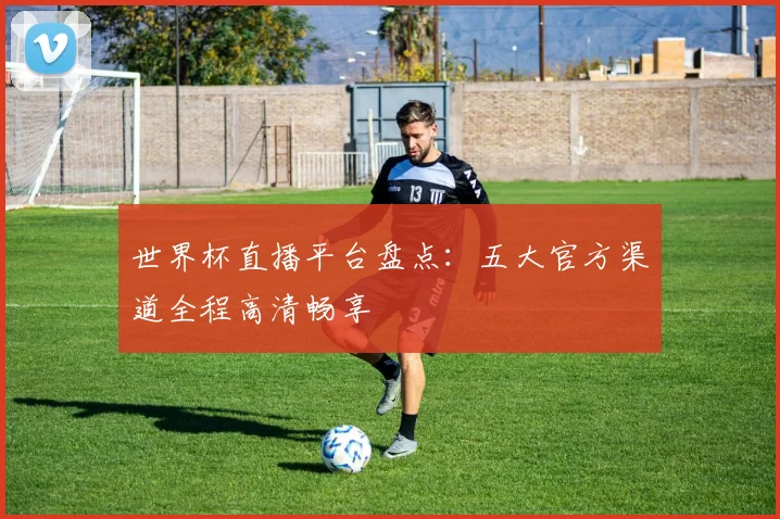 世界杯直播平台盘点：五大官方渠道全程高清畅享