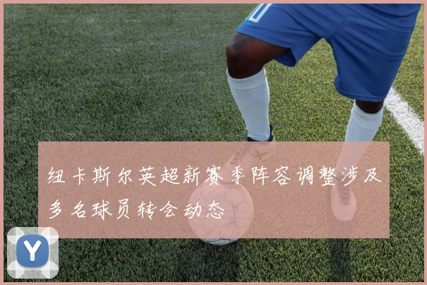 纽卡斯尔英超新赛季阵容调整涉及多名球员转会动态