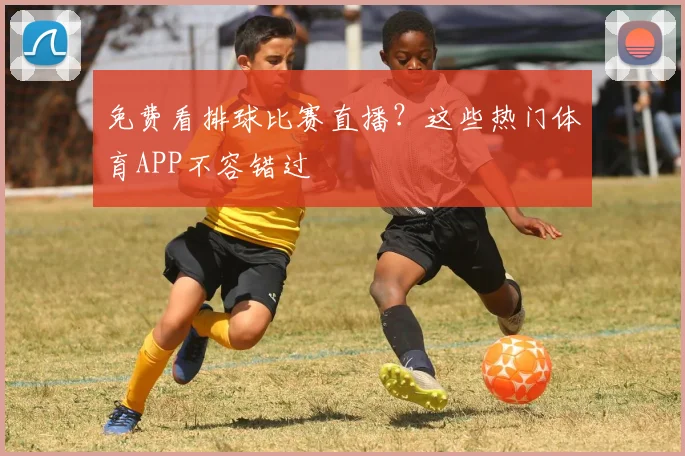 免费看排球比赛直播？这些热门体育APP不容错过
